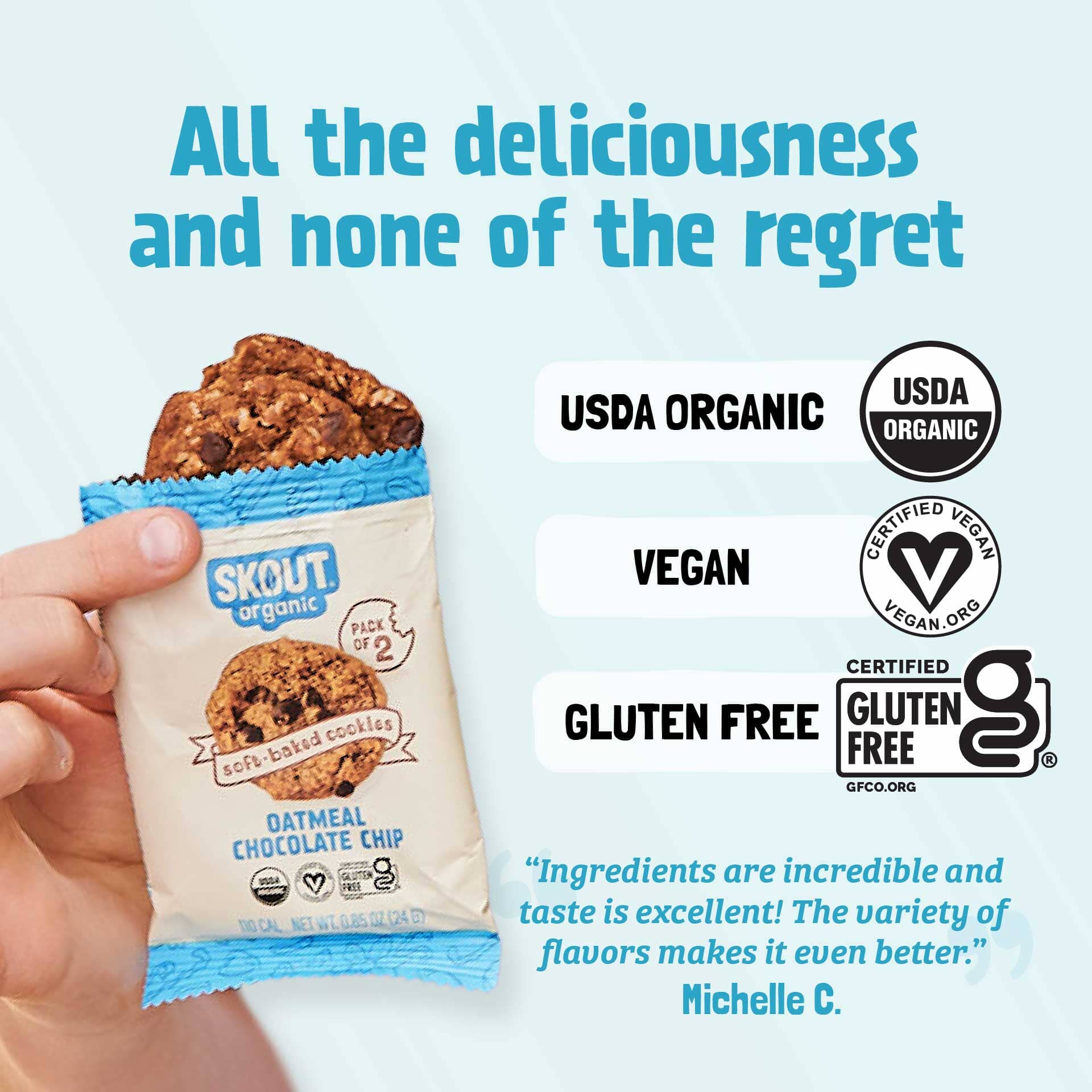 Skout Organic Oatmeal Chocolate Chip Soft Baked Cookies - Vegan America