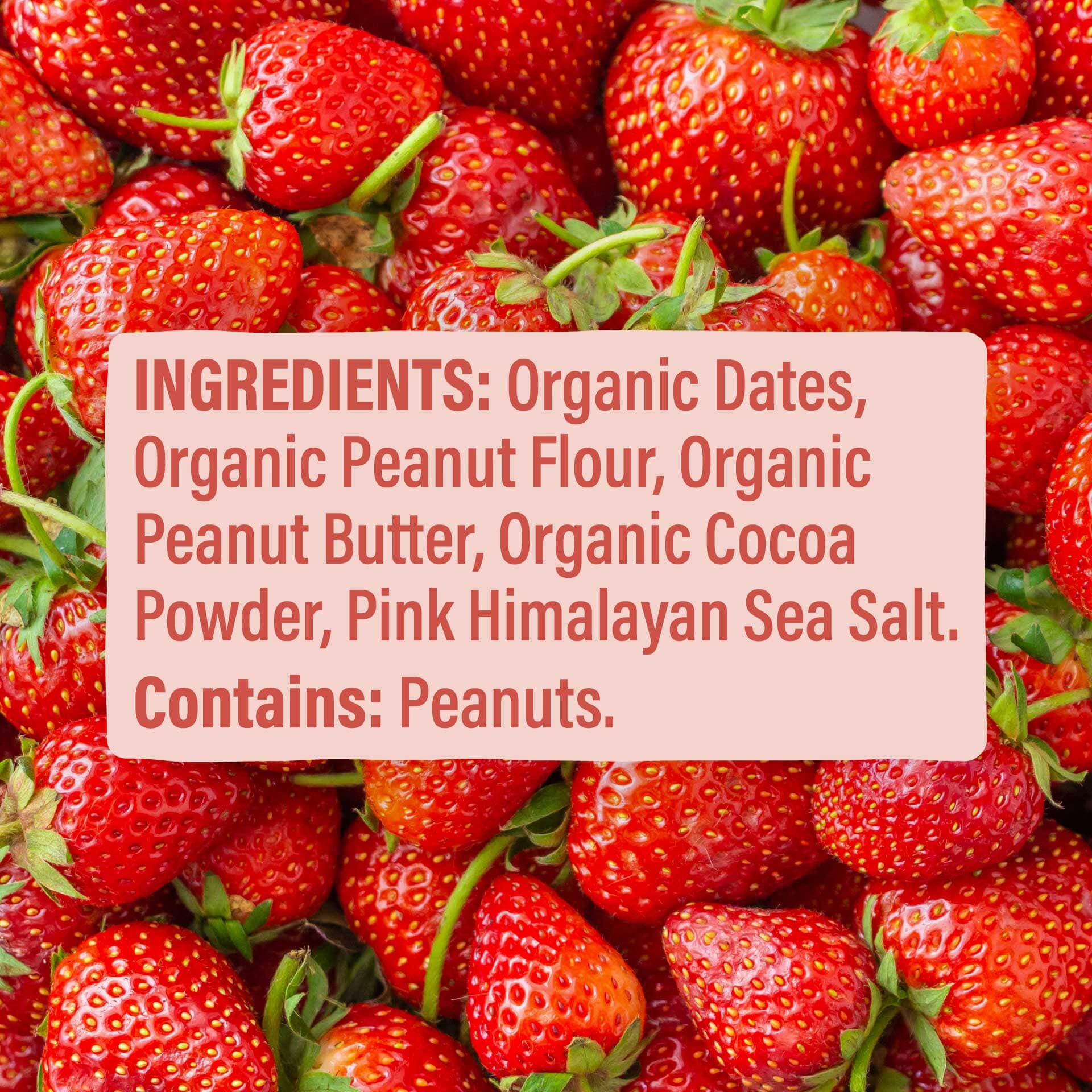 Skout Organic Peanut Butter & Jelly Kids Bar - Vegan America