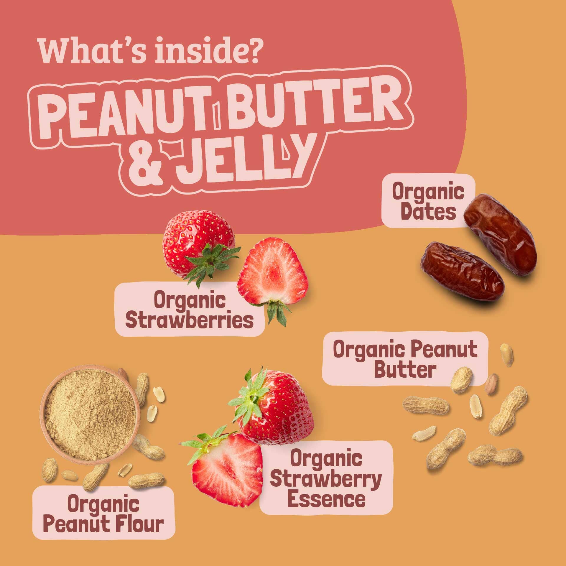 Skout Organic Peanut Butter & Jelly Kids Bar - Vegan America
