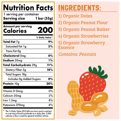 Skout Organic Peanut Butter & Jelly Protein Bar - Vegan America