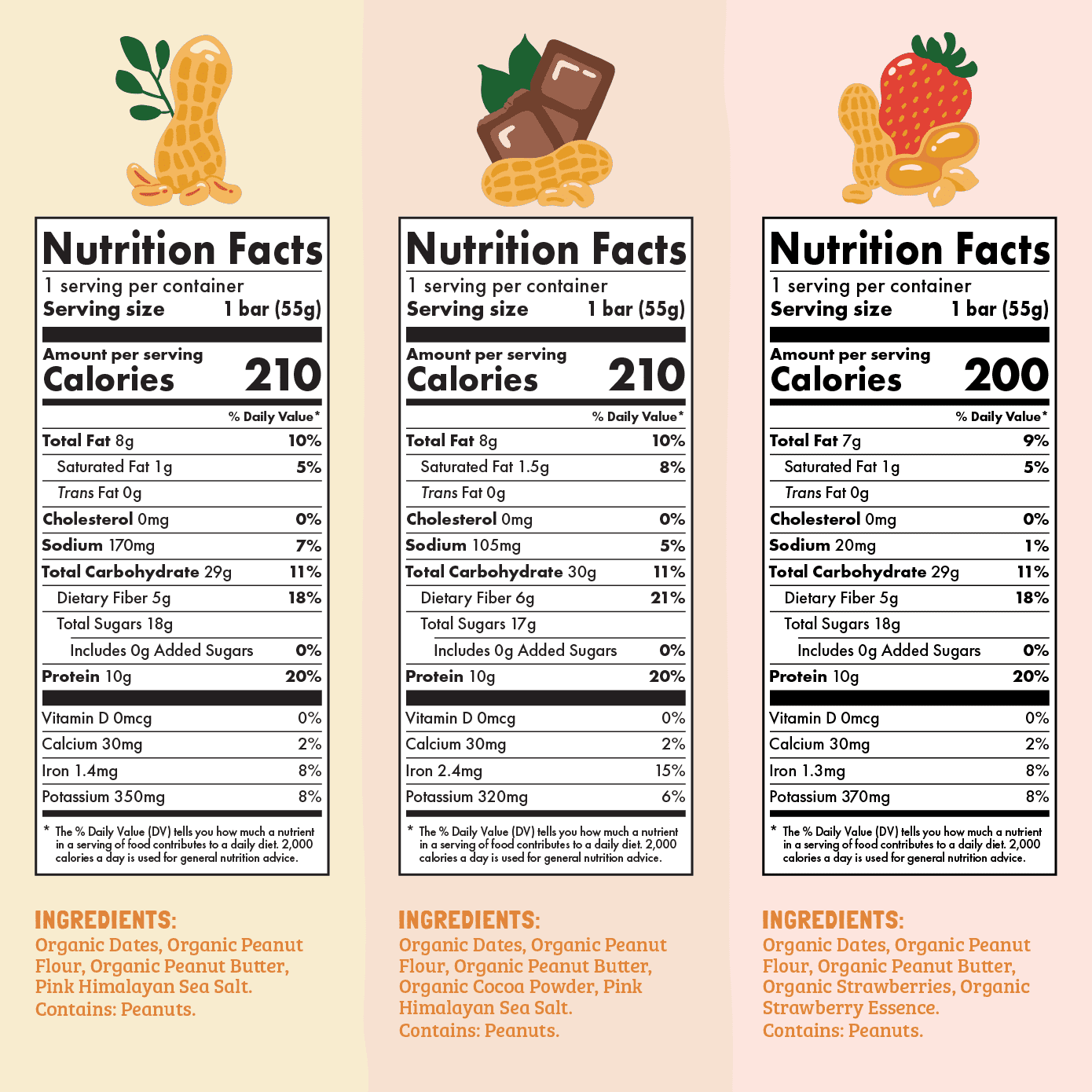 Skout Organic Peanut Butter Protein Bar Bundle - 15 Pack - Vegan America