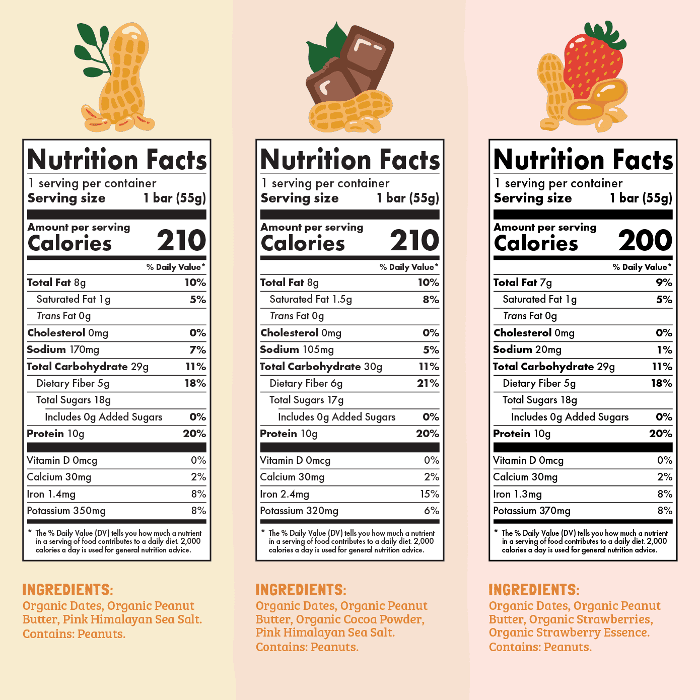 Skout Organic Protein Bar Sample Pack - Vegan America