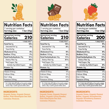 Skout Organic Protein Bar Sample Pack - Vegan America