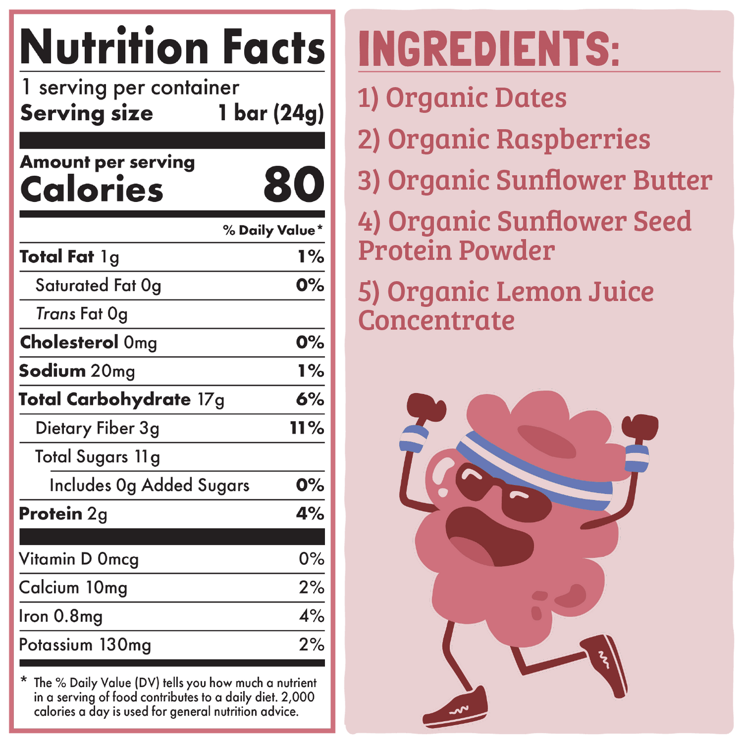 Skout Organic Raspberry Rush Kids Bar - Vegan America