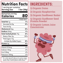 Skout Organic Raspberry Rush Kids Bar