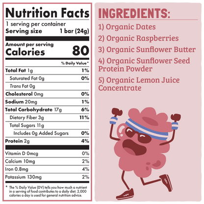 Skout Organic Raspberry Rush Kids Bar - Vegan America