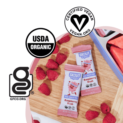 Skout Organic Raspberry Rush Kids Bar - Vegan America