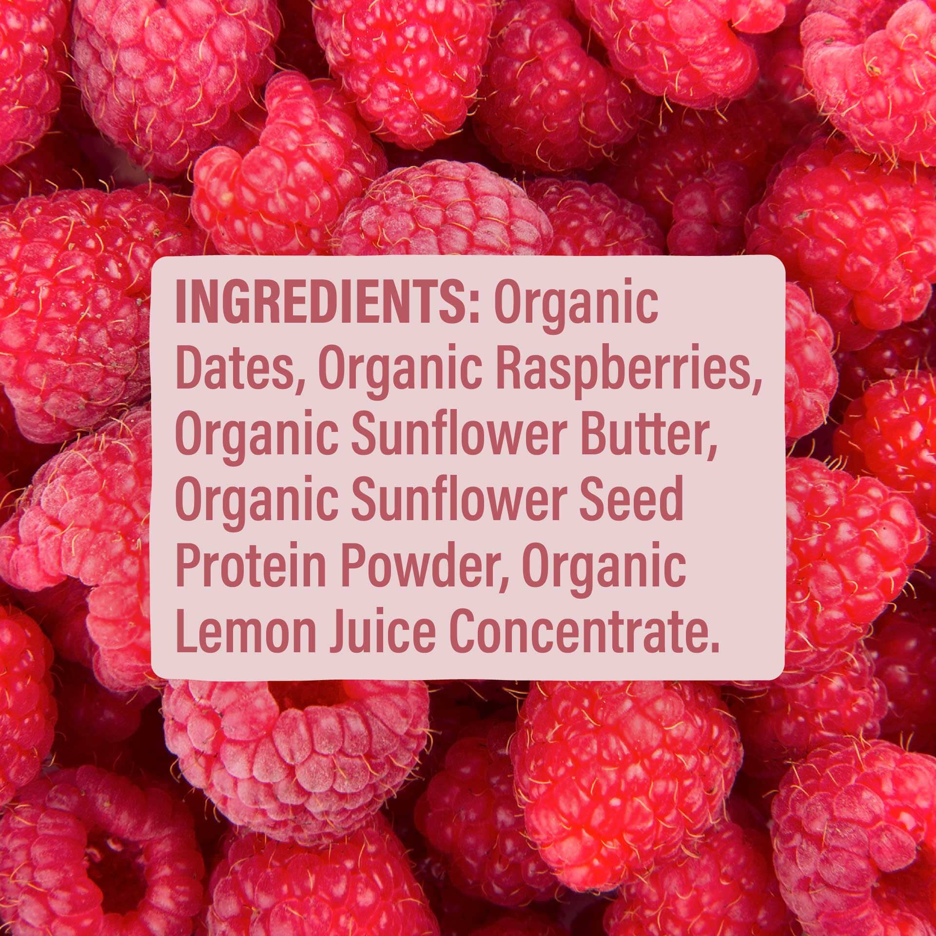 Skout Organic Raspberry Rush Kids Bar - Vegan America