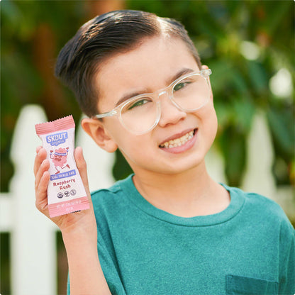 Skout Organic Raspberry Rush Kids Bar - Vegan America