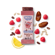 Skout Organic Raspberry Rush Kids Bar - Vegan America