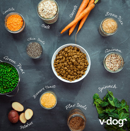 v-dog kind kibble