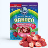 Freeze Dried Strawberries - Wholes & Halves - Vegan America