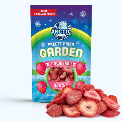 Freeze Dried Organic Strawberry Slices