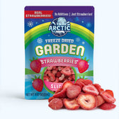 Freeze Dried Strawberries Organic Strawberry Slices - Vegan America