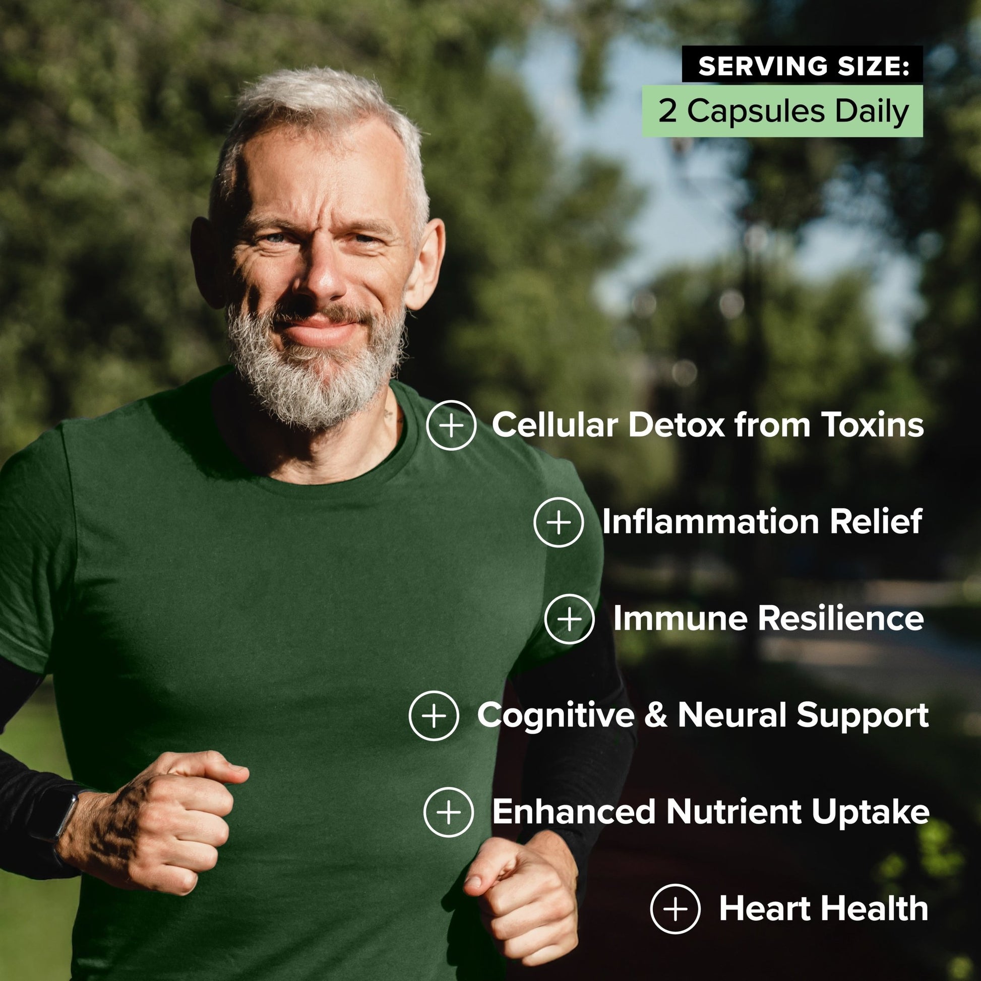 COMPLEMENT® Sulfora - Vegan America