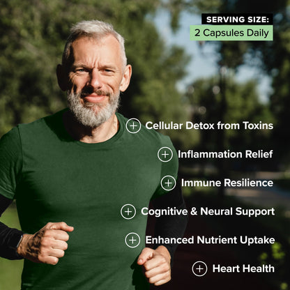 COMPLEMENT® Sulfora - Vegan America