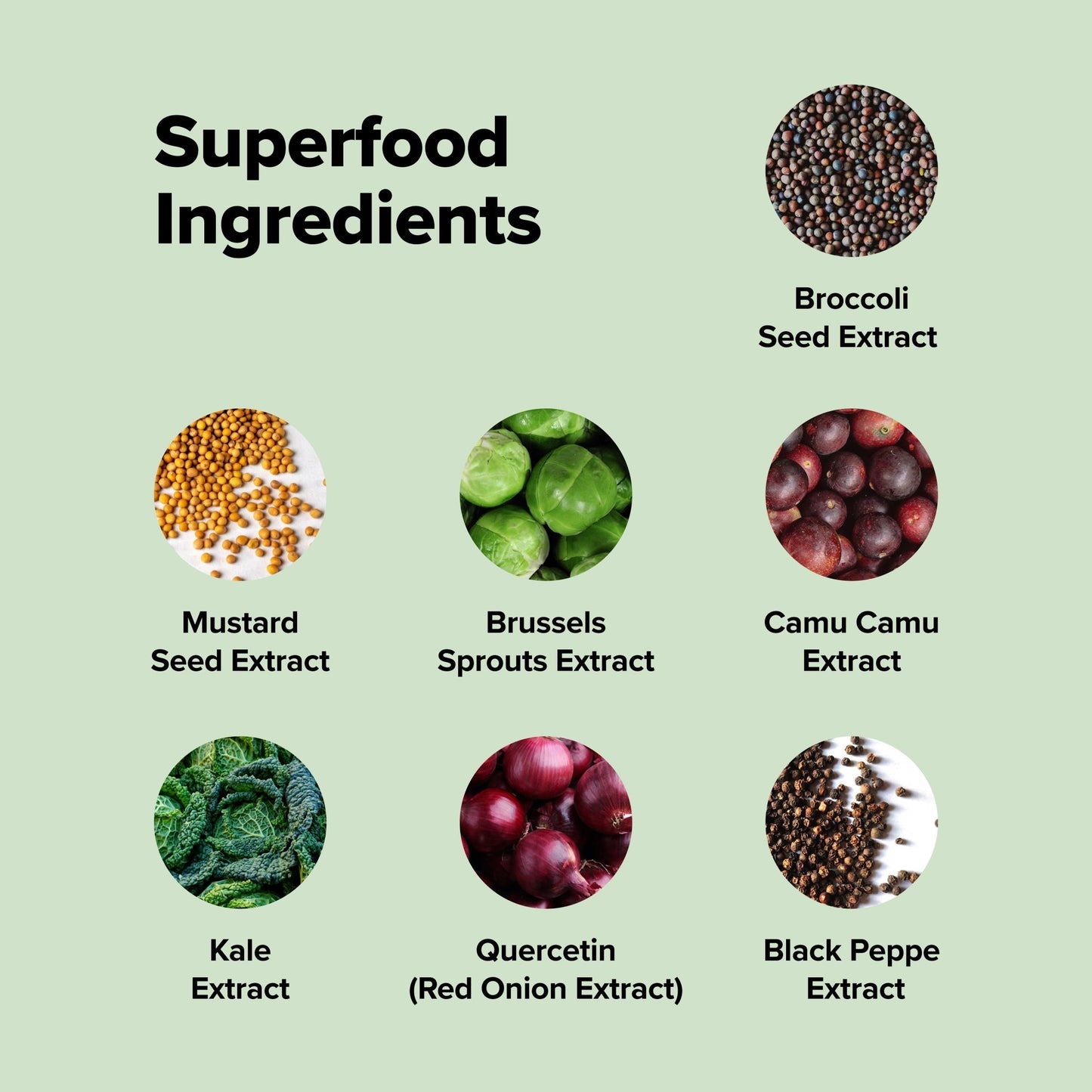 COMPLEMENT® Sulfora - Vegan America