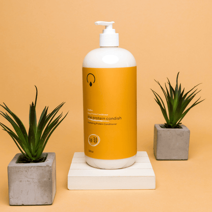 The Condish (Protein)