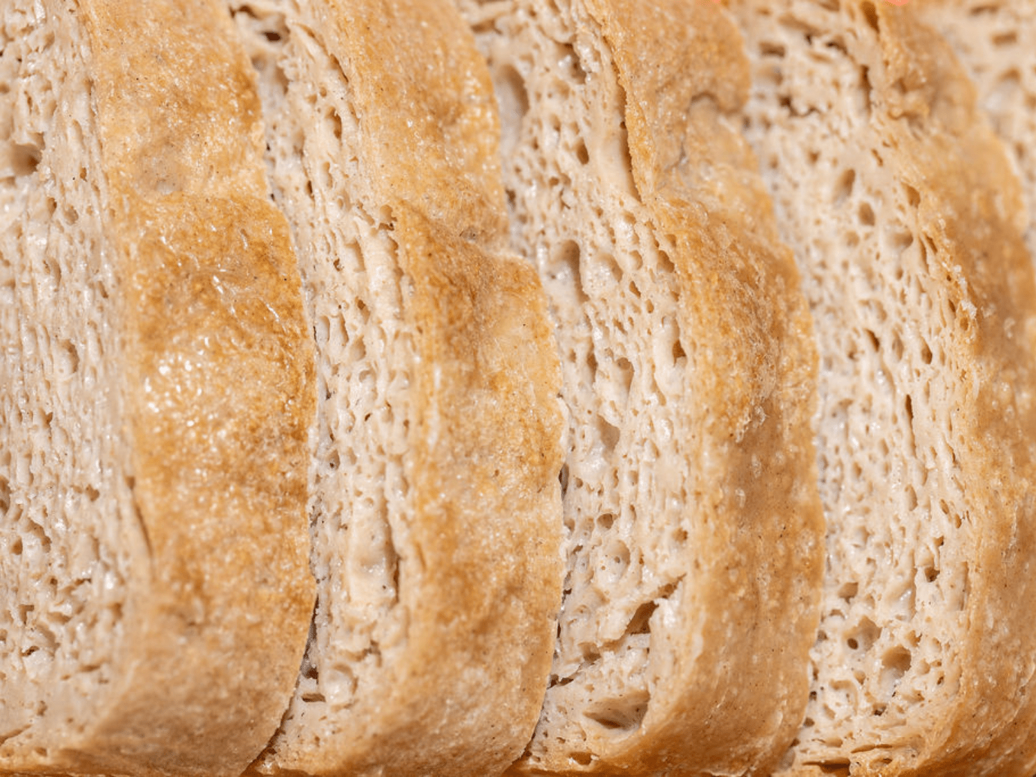 Gum-Free, Rice-Free Sourdough Value Pack (2 XL Loaves) - Vegan America