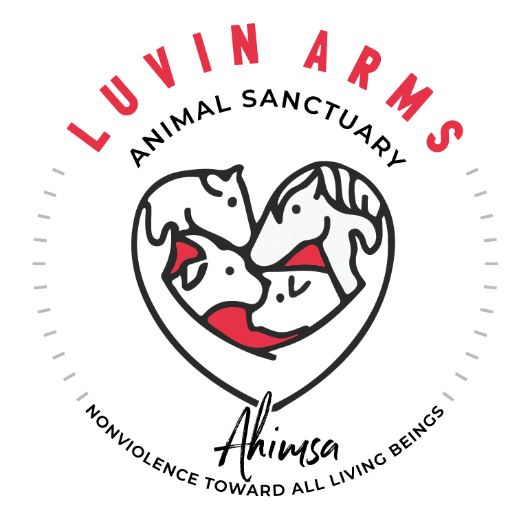 $5 Donation - Vegan America