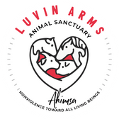 $50 Donation - Vegan America