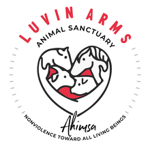 $50 Donation - Vegan America