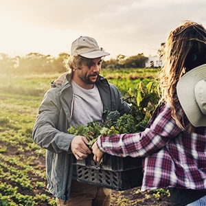 traceable farming organic non-gmo vegetables fruits garden of life